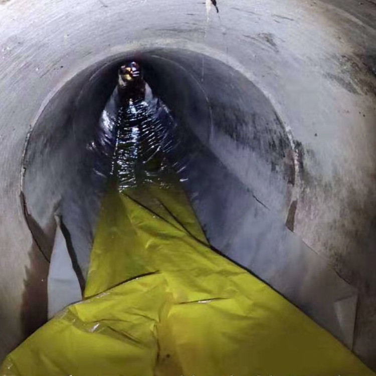 册亨管道光固化修复